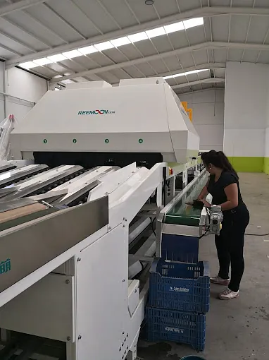 Marhogroup maquina en nave