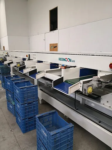 Marhogroup cintas con cajas